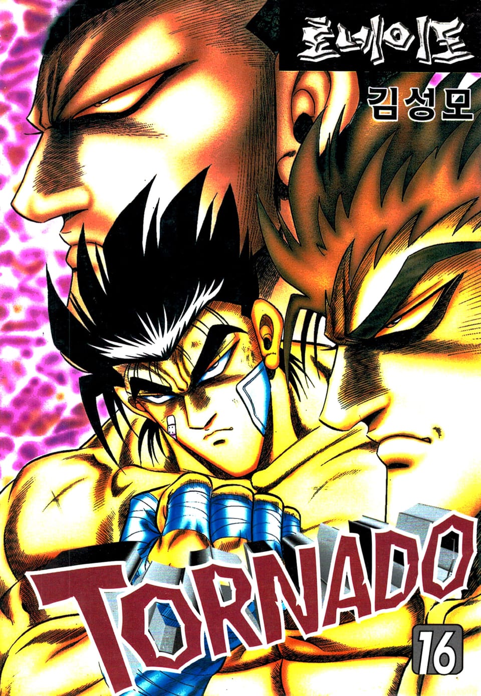 토네이도 16권