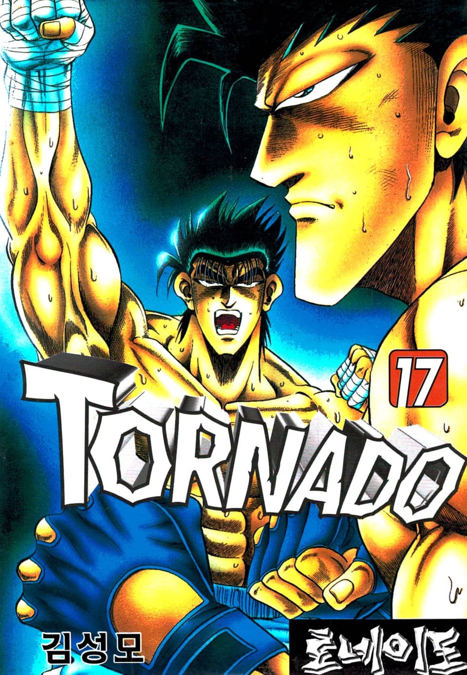 토네이도 17권
