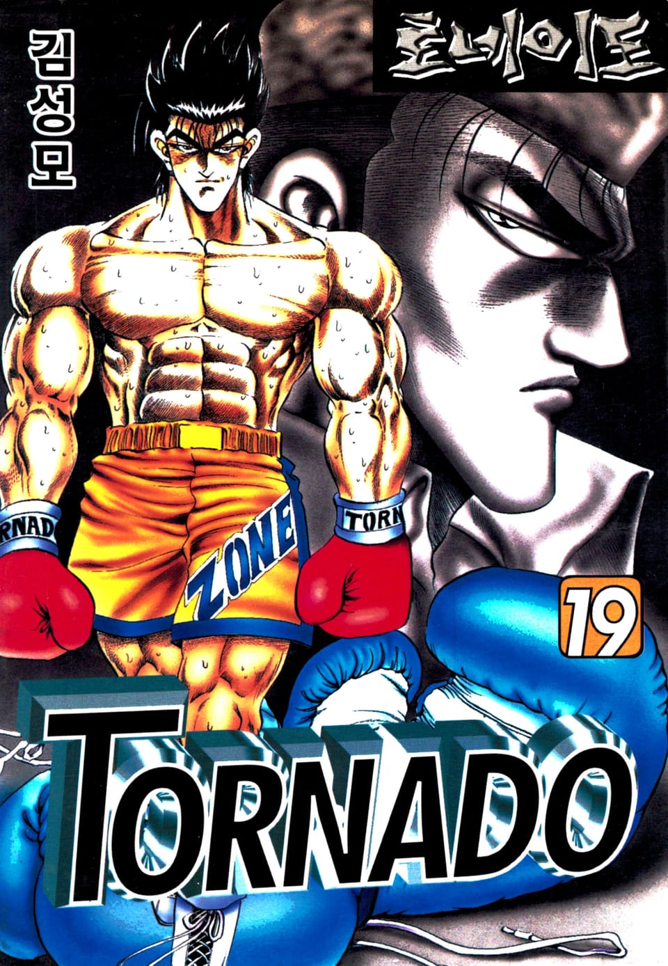 토네이도 19권