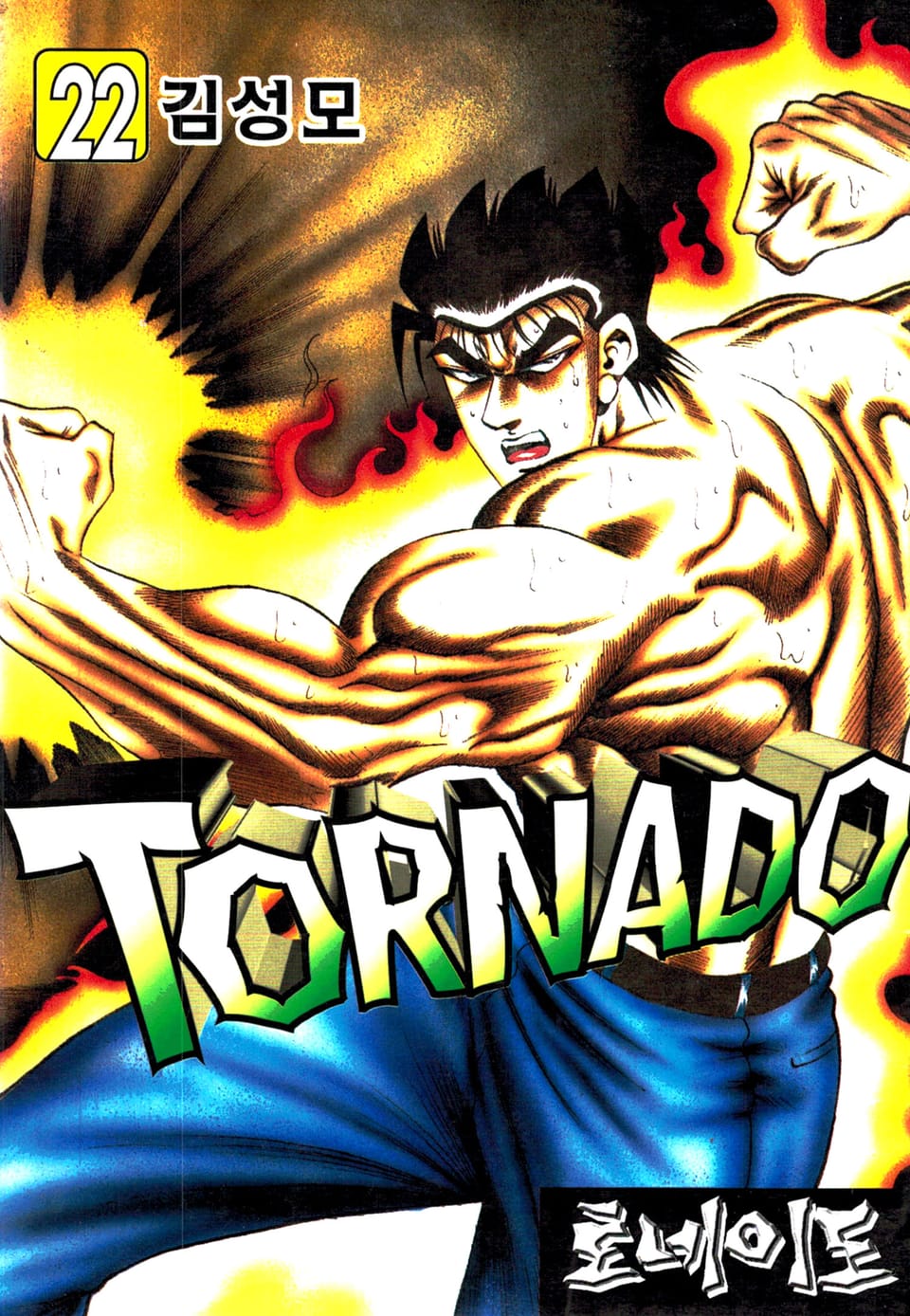 토네이도 22권