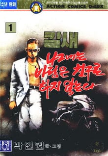 칼새 나그네는 바람을 친구로 하지 않는다