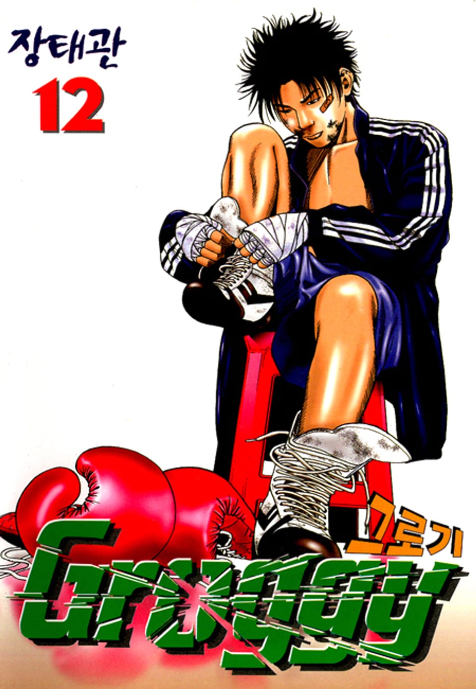 그로기 12권