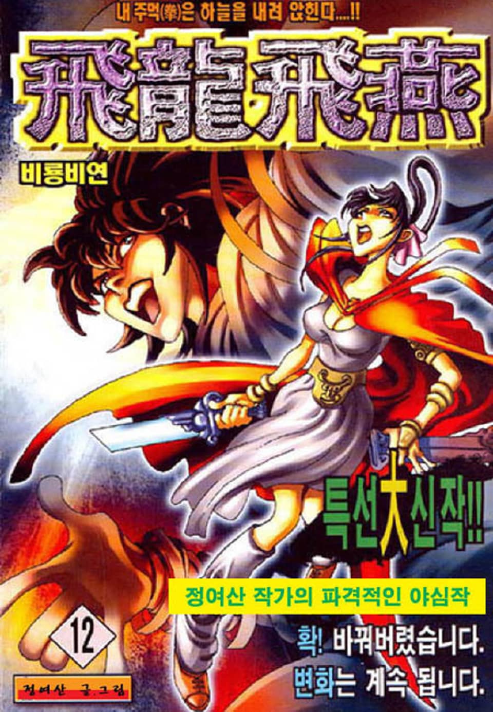 비룡비연 12권
