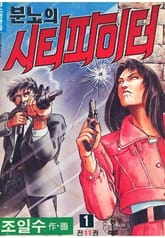 분노의 시티파이터 표지 이미지