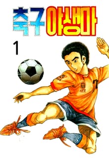 축구야생마