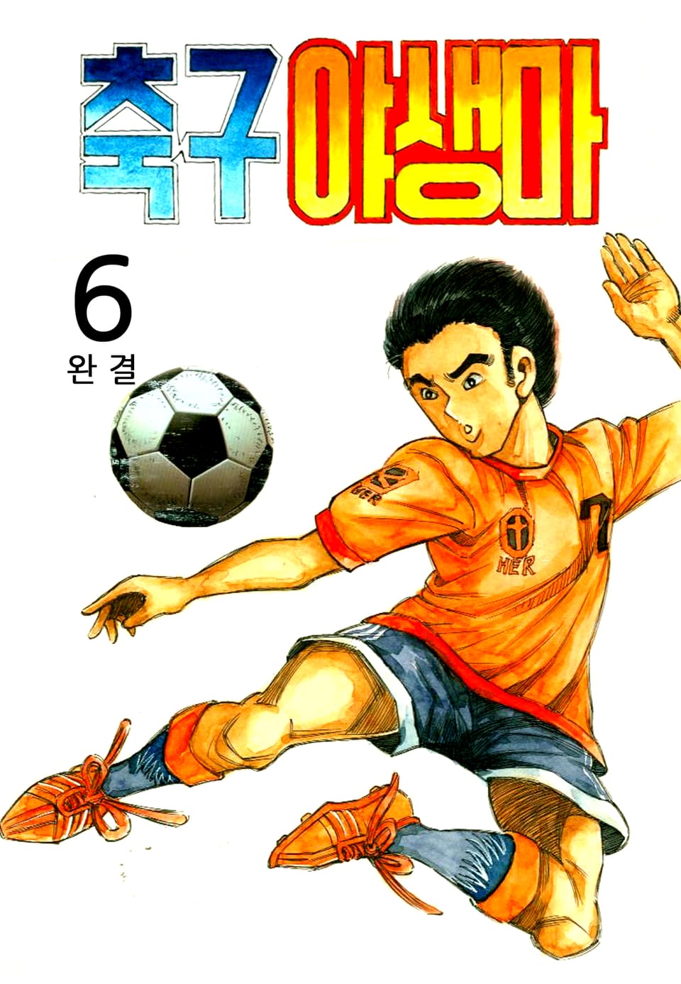 축구야생마 6권 (완결)