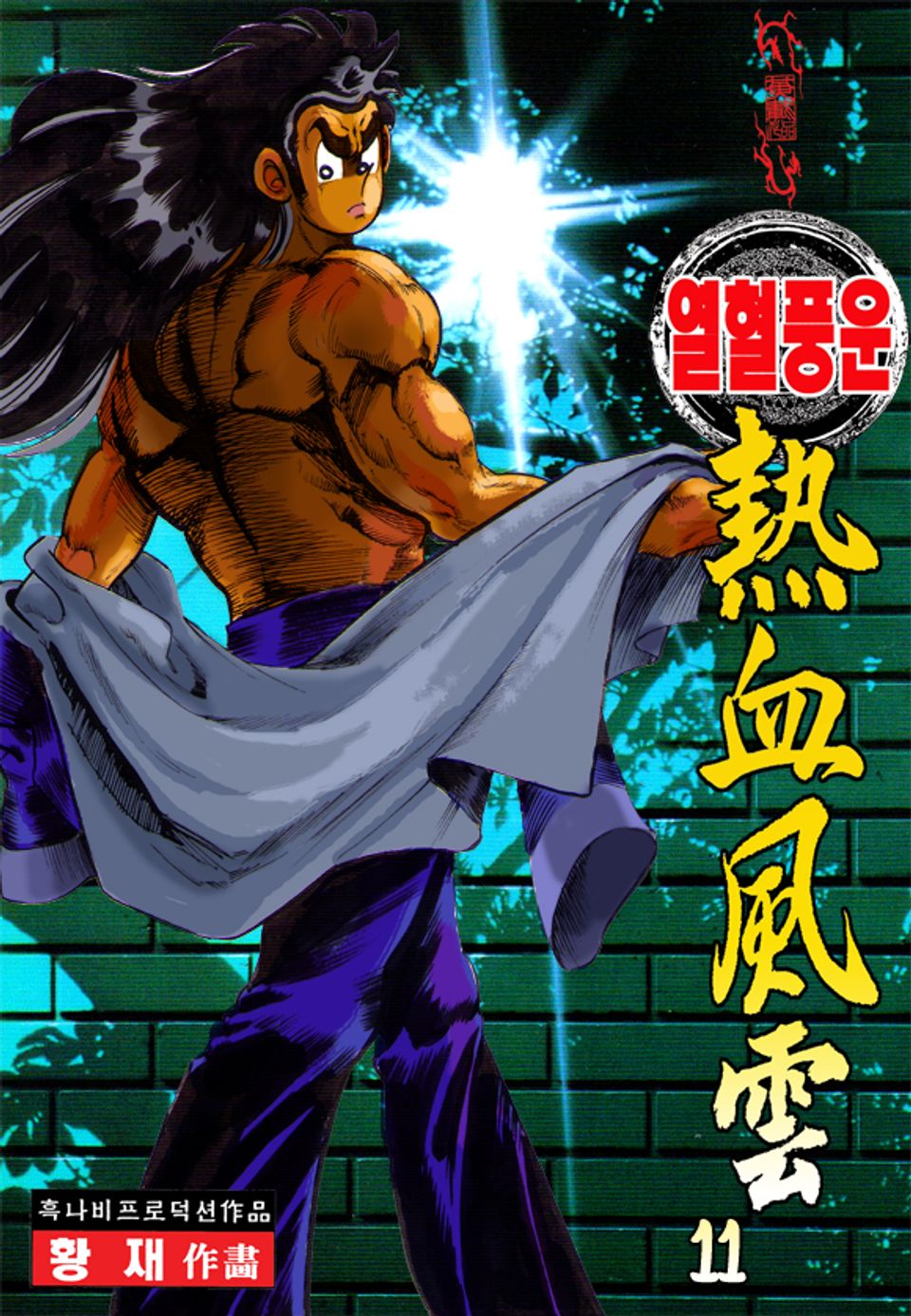 열혈풍운 11권