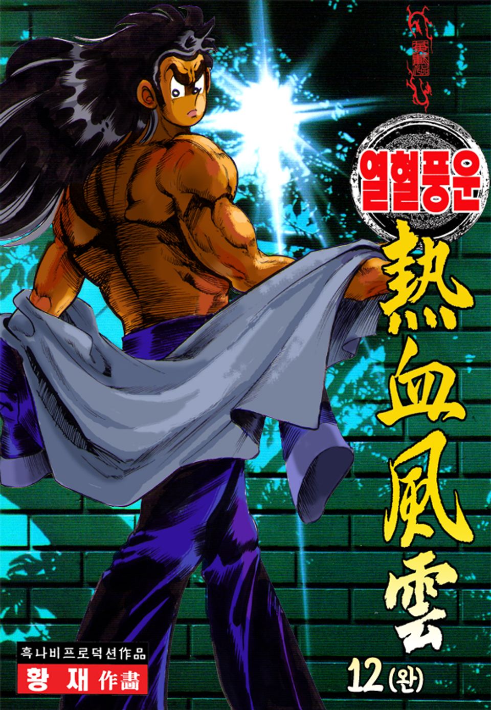 열혈풍운 12권 (완결)