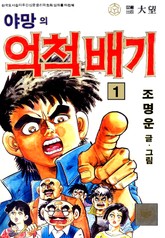 야망의 억척배기 표지 이미지