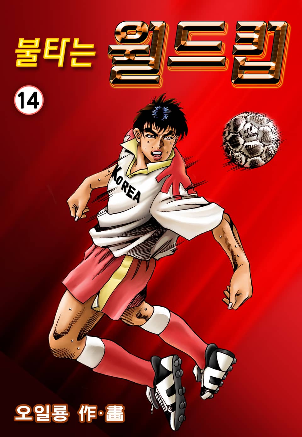 불타는 월드컵 14권