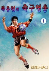 북유럽의 축구영웅 표지 이미지