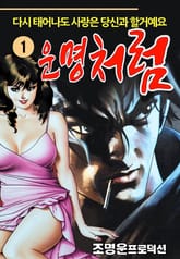 운명처럼 표지 이미지