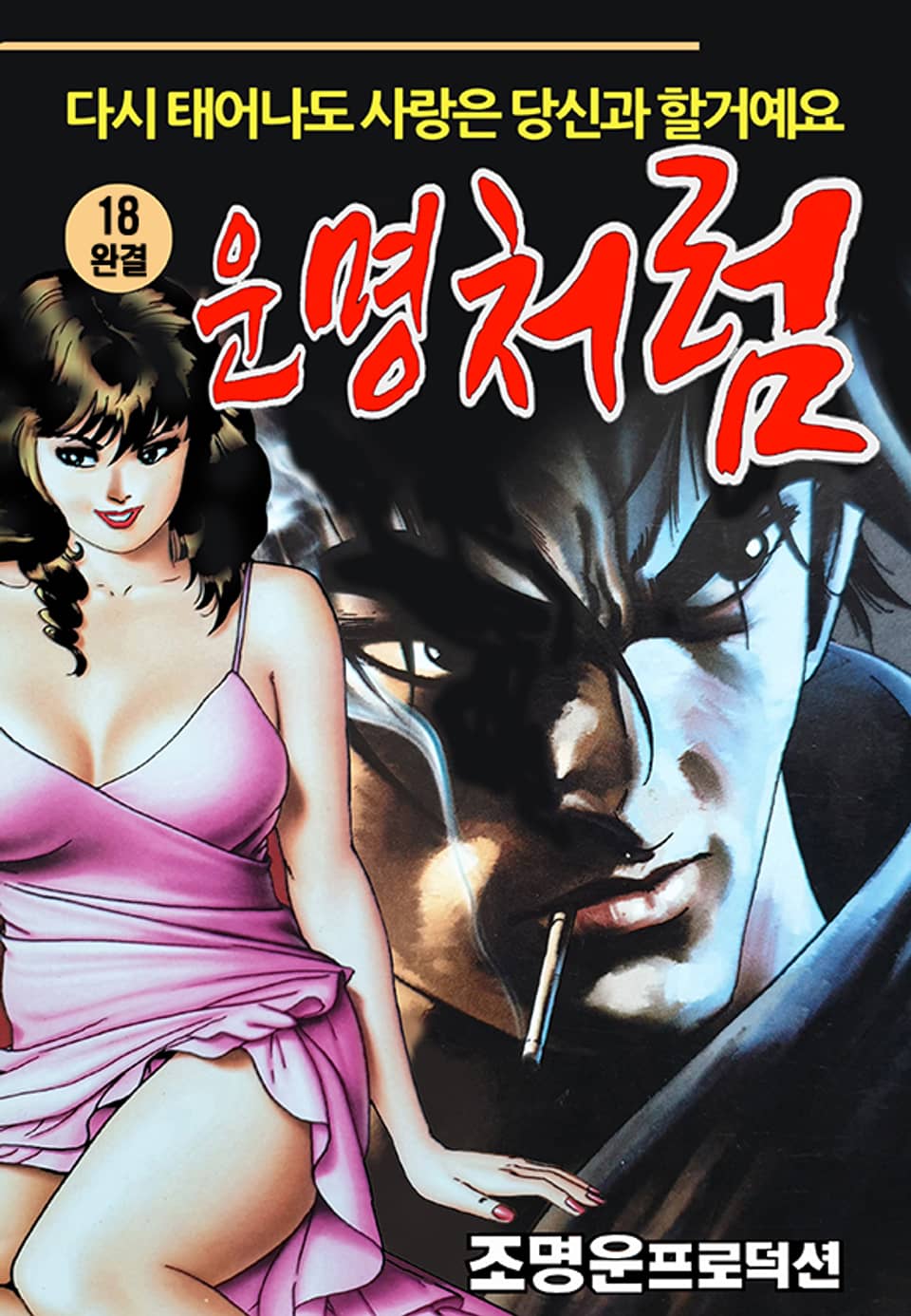 운명처럼 18권 (완결)