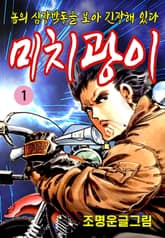 미치광이 표지 이미지