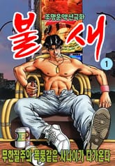 불새 표지 이미지