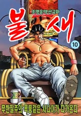 불새 표지 이미지