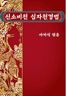신소비전 십자천경법