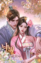 낙월: 달에 지다 표지 이미지