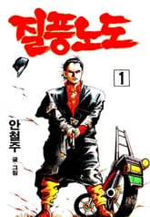 질풍노도 표지 이미지