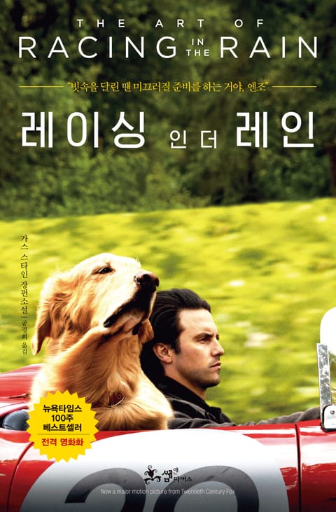 가스 스타인