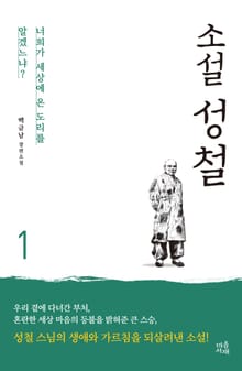 소설 성철 1