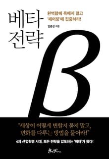 베타 전략