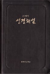 21세기 성경해설 표지 이미지