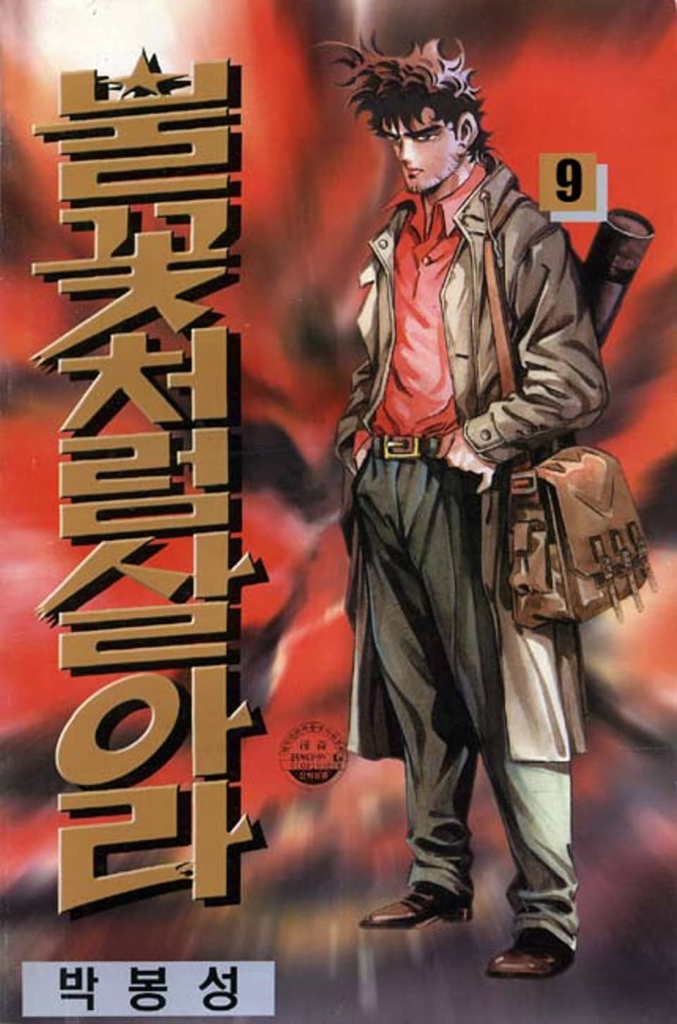 불꽃처럼 살아라 9권