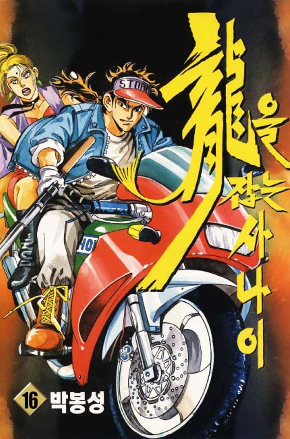 용을 잡은 사나이 16권