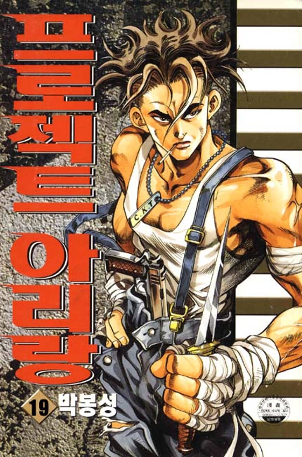 프로젝트 아리랑 19권