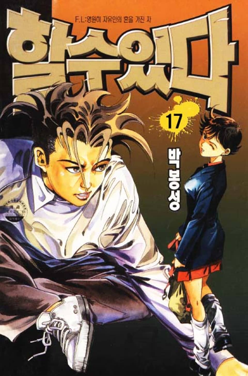 할 수 있다 17권 (완결)