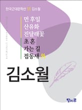 먼 후일, 산유화, 진달래꽃, 초혼, 가는 길, 접동새 外 표지 이미지
