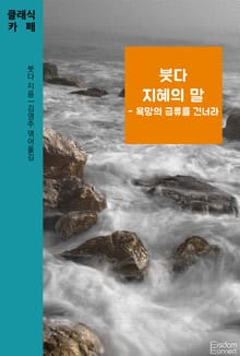 붓다 지혜의 말 - 욕망의 급류를 건너라