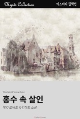 홍수 속 살인 표지 이미지