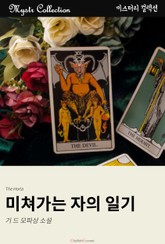 미쳐가는 자의 일기 표지 이미지