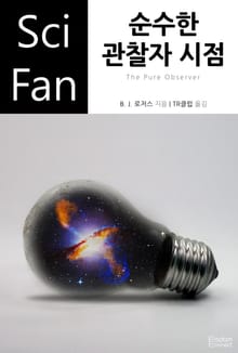 순수한 관찰자 시점