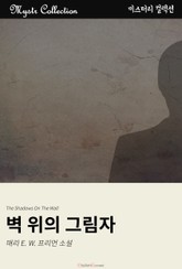 벽 위의 그림자 표지 이미지