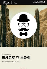 멕시코로 간 스파이 표지 이미지