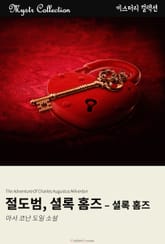 절도범, 셜록 홈즈 표지 이미지