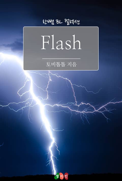 플래쉬 (Flash) 표지 이미지