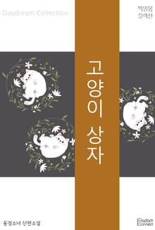 고양이 상자