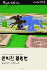 완벽한 횡령범 표지 이미지