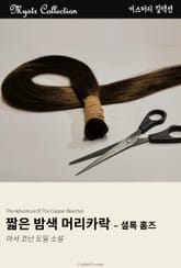 짧은 밤색 머리카락 - 셜록 홈즈 표지 이미지