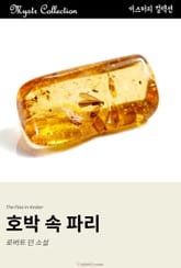 호박 속 파리 표지 이미지