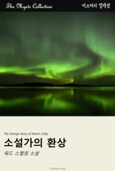 소설가의 환상 표지 이미지