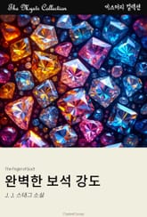 완벽한 보석 강도 표지 이미지