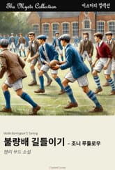 불량배 길들이기 - 조니 루들로우 표지 이미지