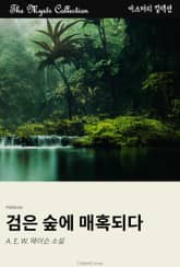 검은 숲에 매혹되다 표지 이미지