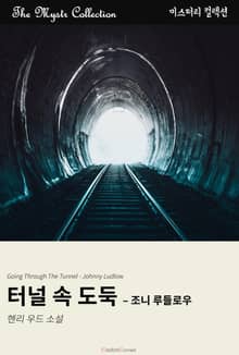 터널 속 도둑 - 조니 루들로우