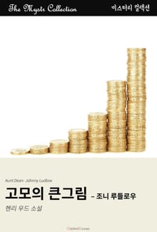 고모의 큰그림 - 조니 루들로우